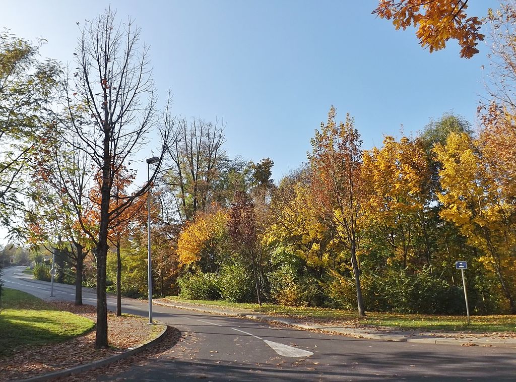 Les arbres, les trottoirs sont gratuits...
Florian Pépellin [CC BY-SA 3.0 (https://creativecommons.org/licenses/by-sa/3.0)], from Wikimedia Commons